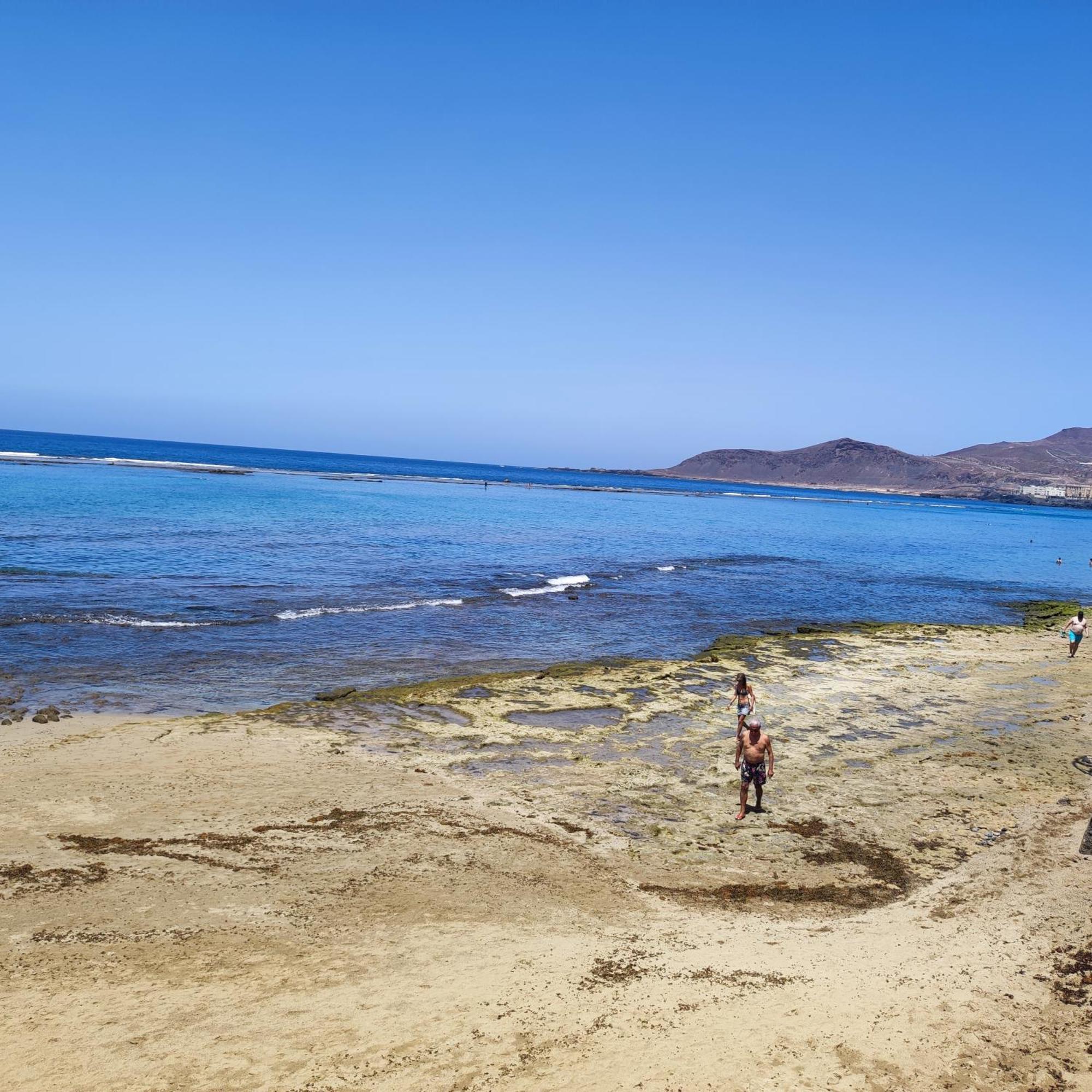 Mirlo Canteras Las Palmas de Gran Canaria Exteriör bild